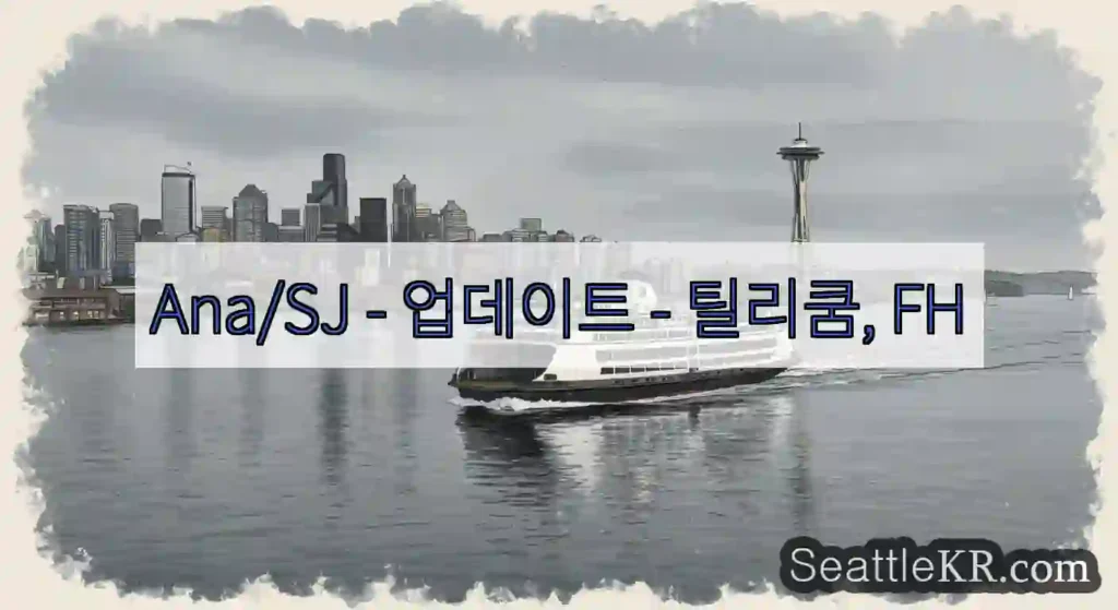 Ana/SJ - 업데이트 - 틸리쿰, FH