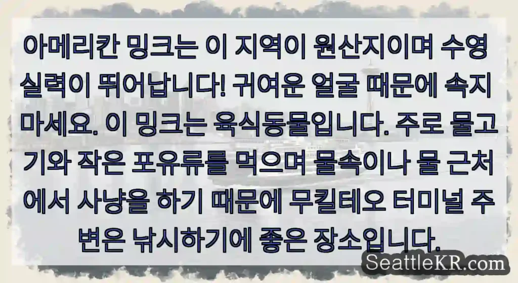 아메리칸 밍크는 이 지역이 원산지이며 수영 실력이 뛰어납니다! 귀여운 얼굴 때문에 속지