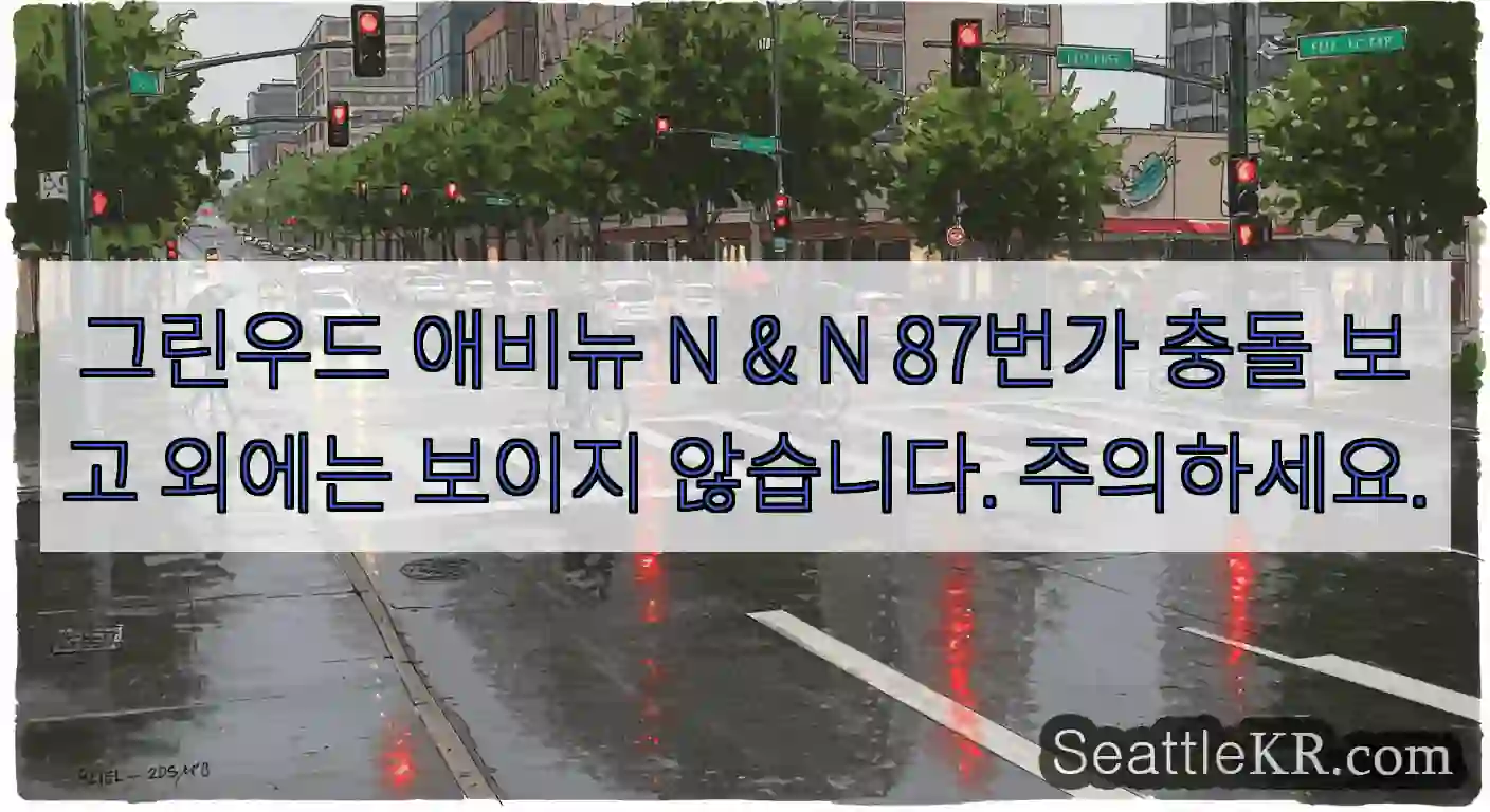그린우드 애비뉴 N & N 87번가 충돌 보고 외에는 보이지 않습니다. 주의하세요.
