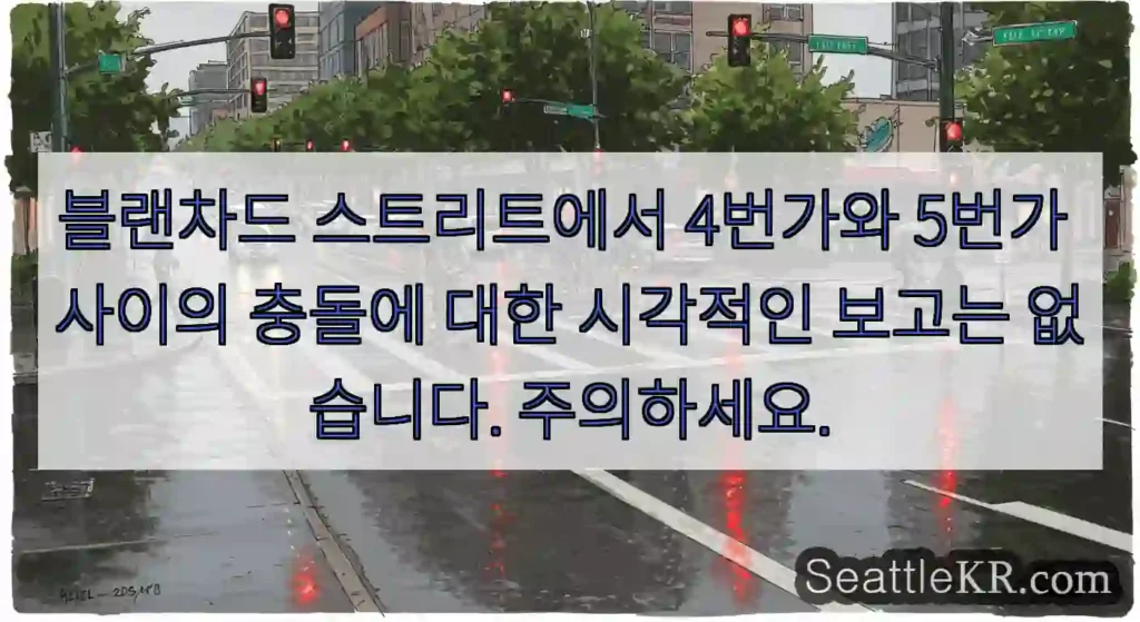 블랜차드 스트리트에서 4번가와 5번가 사이의 충돌에 대한 시각적인 보고는 없습니다.