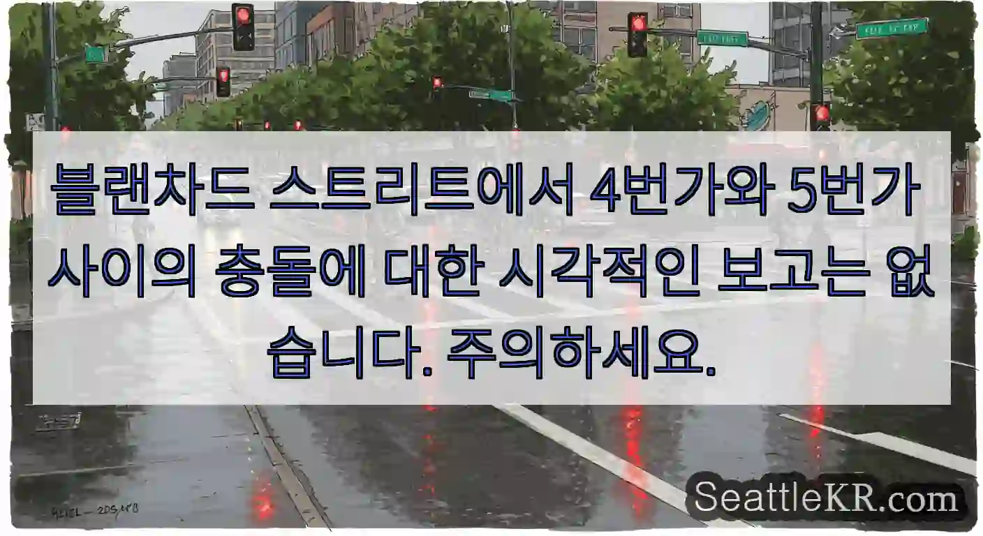 블랜차드 스트리트에서 4번가와 5번가 사이의 충돌에 대한 시각적인 보고는 없습니다.