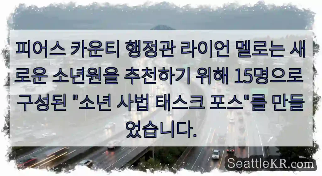 피어스 카운티 행정관 라이언 멜로는 새로운 소년원을 추천하기 위해 15명으로 구성된