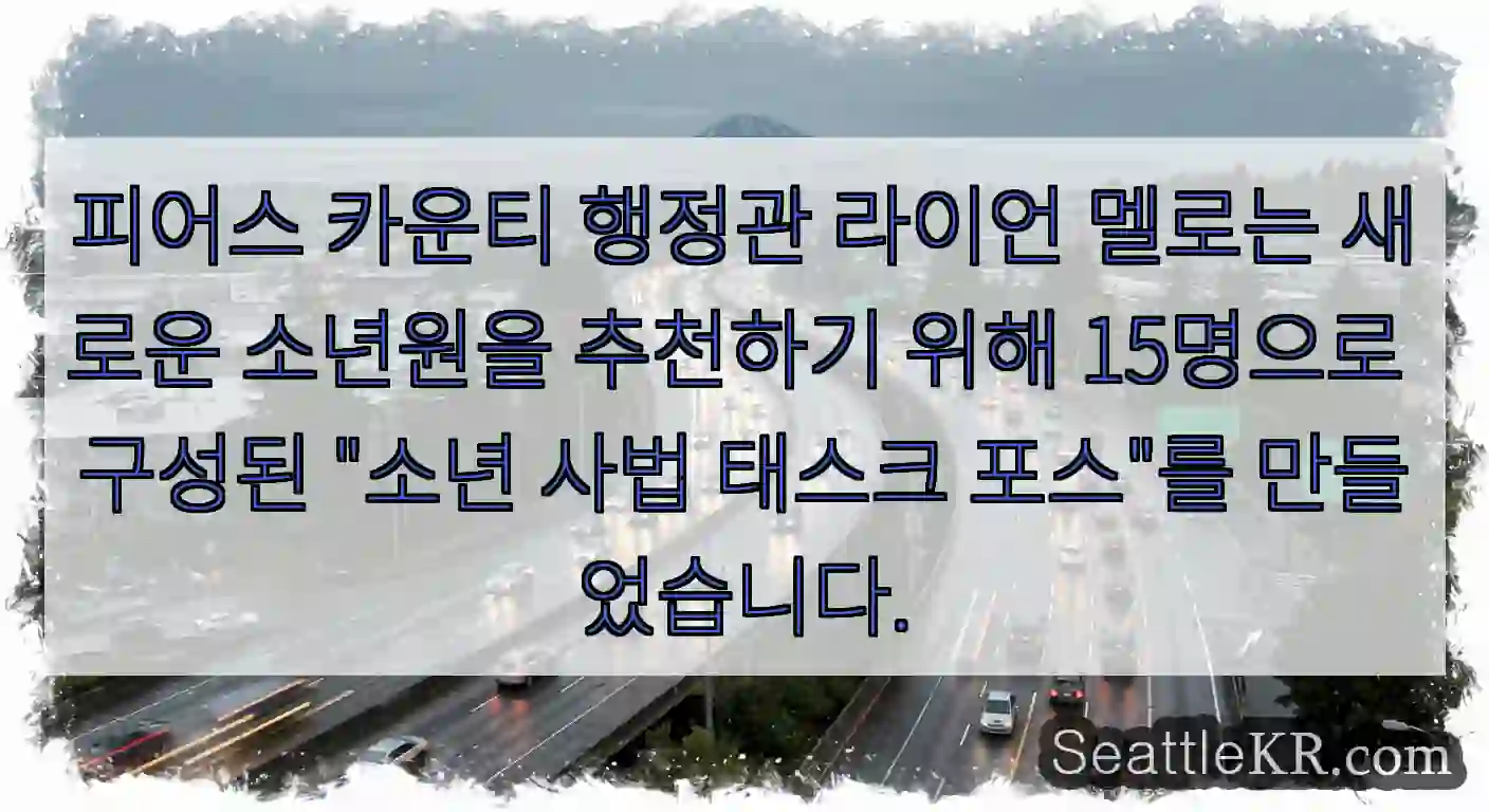 피어스 카운티 행정관 라이언 멜로는 새로운 소년원을 추천하기 위해 15명으로 구성된