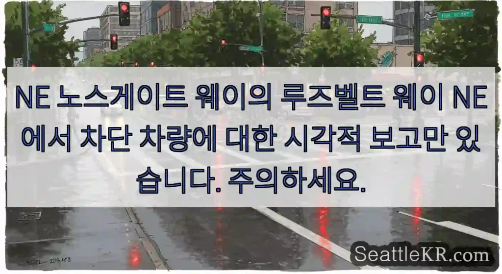 NE 노스게이트 웨이의 루즈벨트 웨이 NE에서 차단 차량에 대한 시각적 보고만 있습니다.