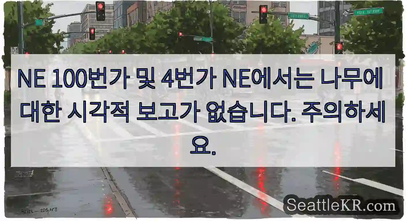 NE 100번가 및 4번가 NE에서는 나무에 대한 시각적 보고가 없습니다. 주의하세요.