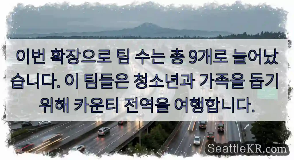 이번 확장으로 팀 수는 총 9개로 늘어났습니다. 이 팀들은 청소년과 가족을 돕기 위해