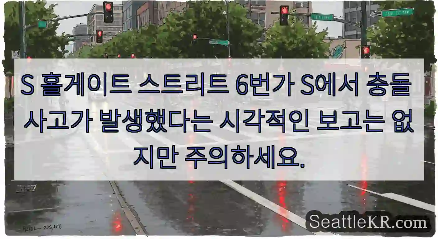 S 홀게이트 스트리트 6번가 S에서 충돌 사고가 발생했다는 시각적인 보고는 없지만