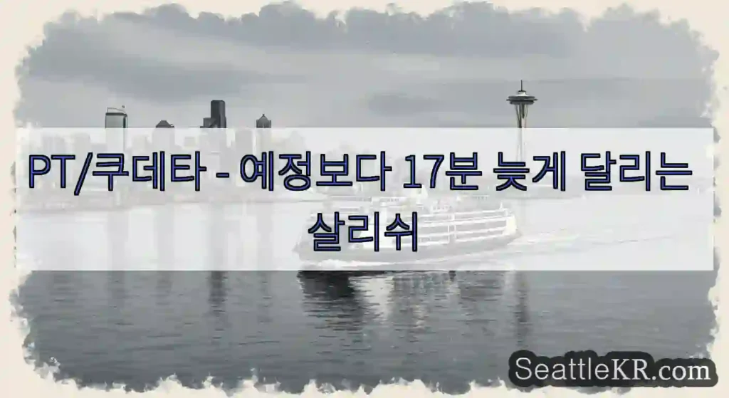 PT/쿠데타 - 예정보다 17분 늦게 달리는 살리쉬