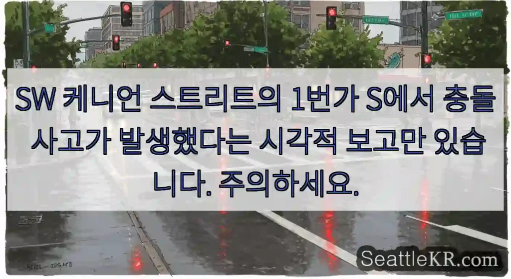 SW 케니언 스트리트의 1번가 S에서 충돌 사고가 발생했다는 시각적 보고만 있습니다.