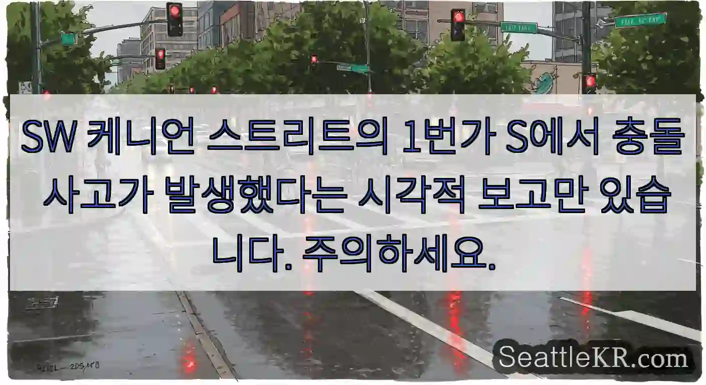 SW 케니언 스트리트의 1번가 S에서 충돌 사고가 발생했다는 시각적 보고만 있습니다.