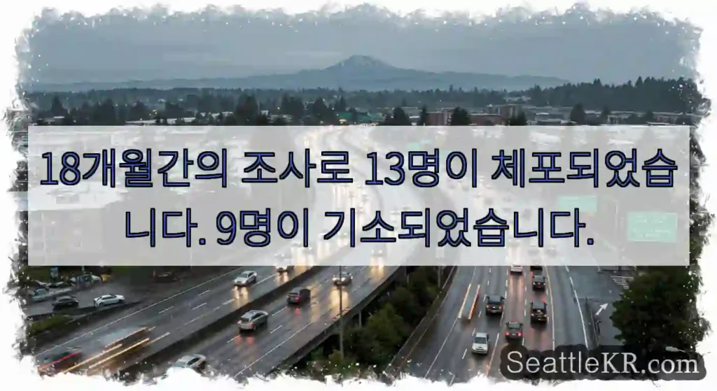 18개월간의 조사로 13명이 체포되었습니다. 9명이 기소되었습니다.