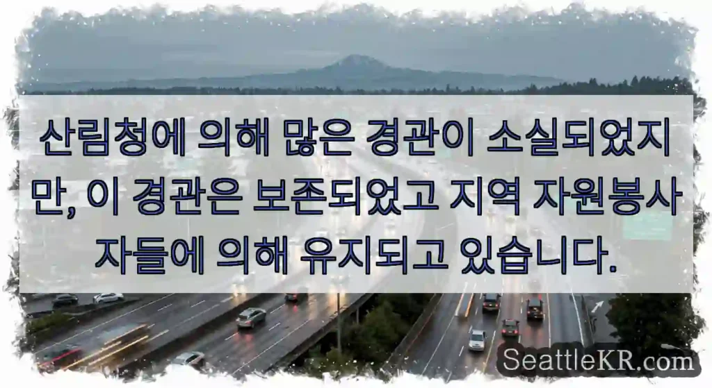 산림청에 의해 많은 경관이 소실되었지만, 이 경관은 보존되었고 지역 자원봉사자들에 의해