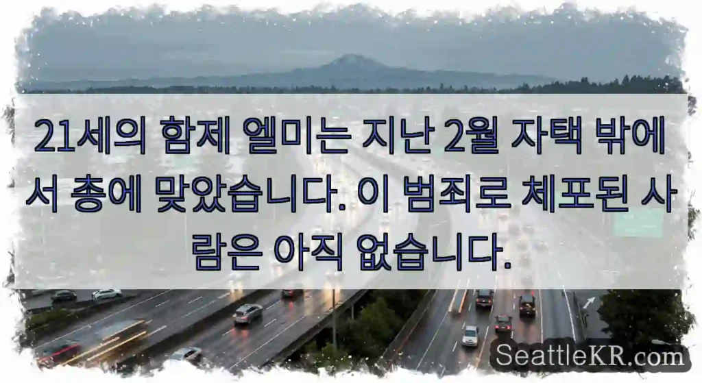 21세의 함제 엘미는 지난 2월 자택 밖에서 총에 맞았습니다. 이 범죄로 체포된 사람은