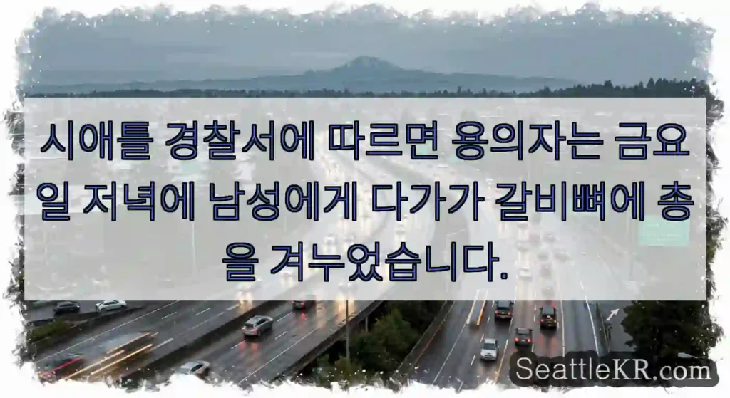 시애틀 경찰서에 따르면 용의자는 금요일 저녁에 남성에게 다가가 갈비뼈에 총을 겨누었습니다.