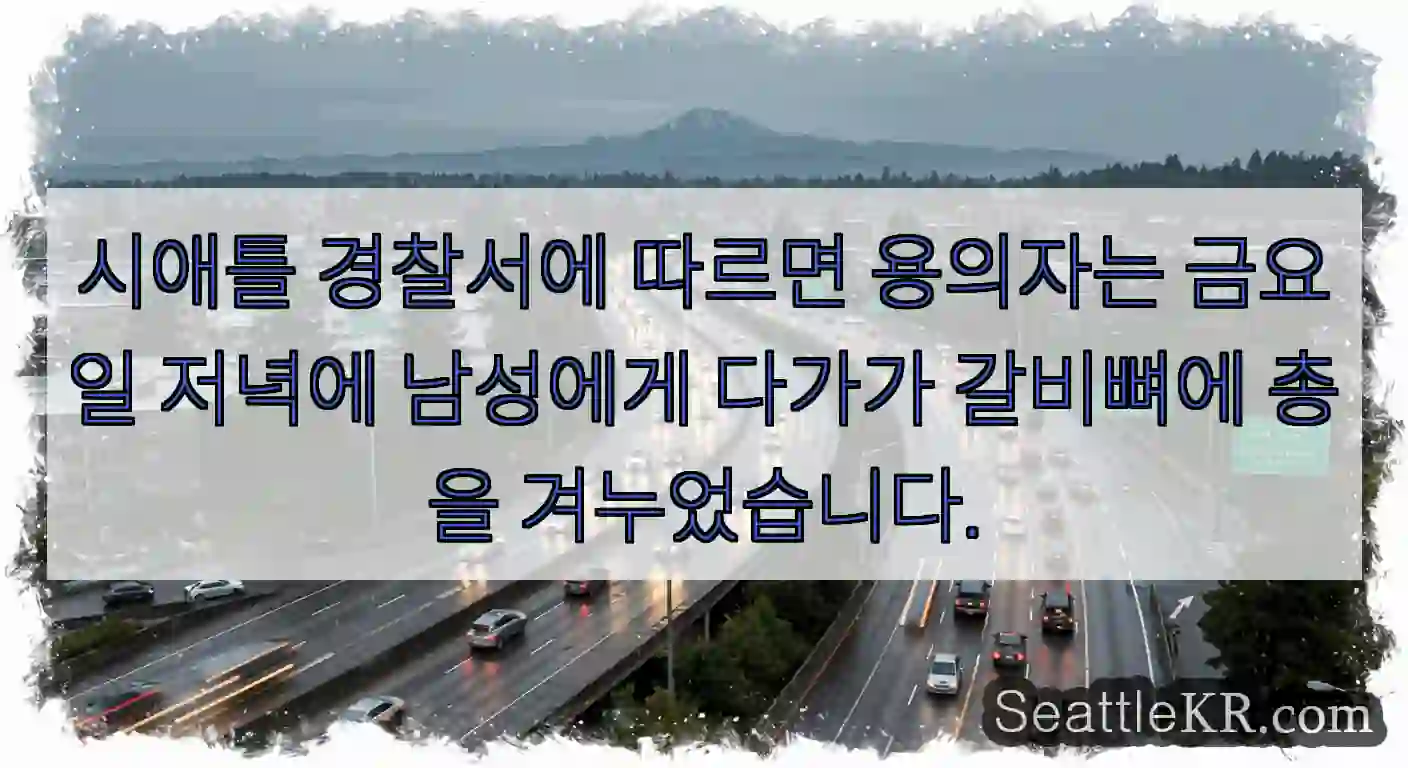 시애틀 경찰서에 따르면 용의자는 금요일 저녁에 남성에게 다가가 갈비뼈에 총을 겨누었습니다.