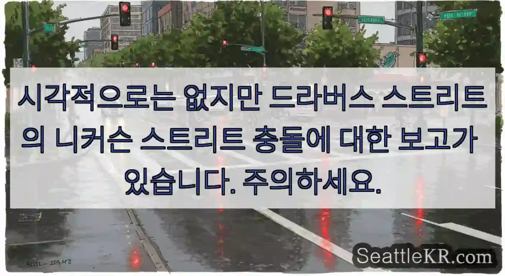 시각적으로는 없지만 드라버스 스트리트의 니커슨 스트리트 충돌에 대한 보고가 있습니다.