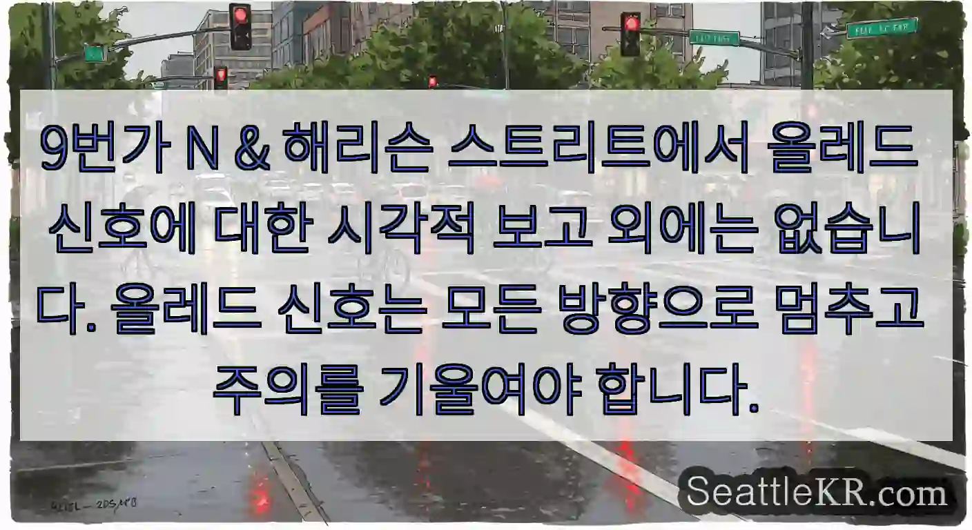 9번가 N & 해리슨 스트리트에서 올레드 신호에 대한 시각적 보고 외에는 없습니다.