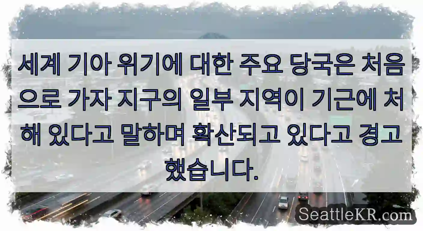 세계 기아 위기에 대한 주요 당국은 처음으로 가자 지구의 일부 지역이 기근에 처해 있다고