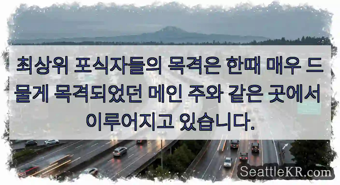 최상위 포식자들의 목격은 한때 매우 드물게 목격되었던 메인 주와 같은 곳에서 이루어지고