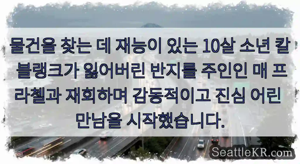 물건을 찾는 데 재능이 있는 10살 소년 칼 블랭크가 잃어버린 반지를 주인인 매 프라첼과