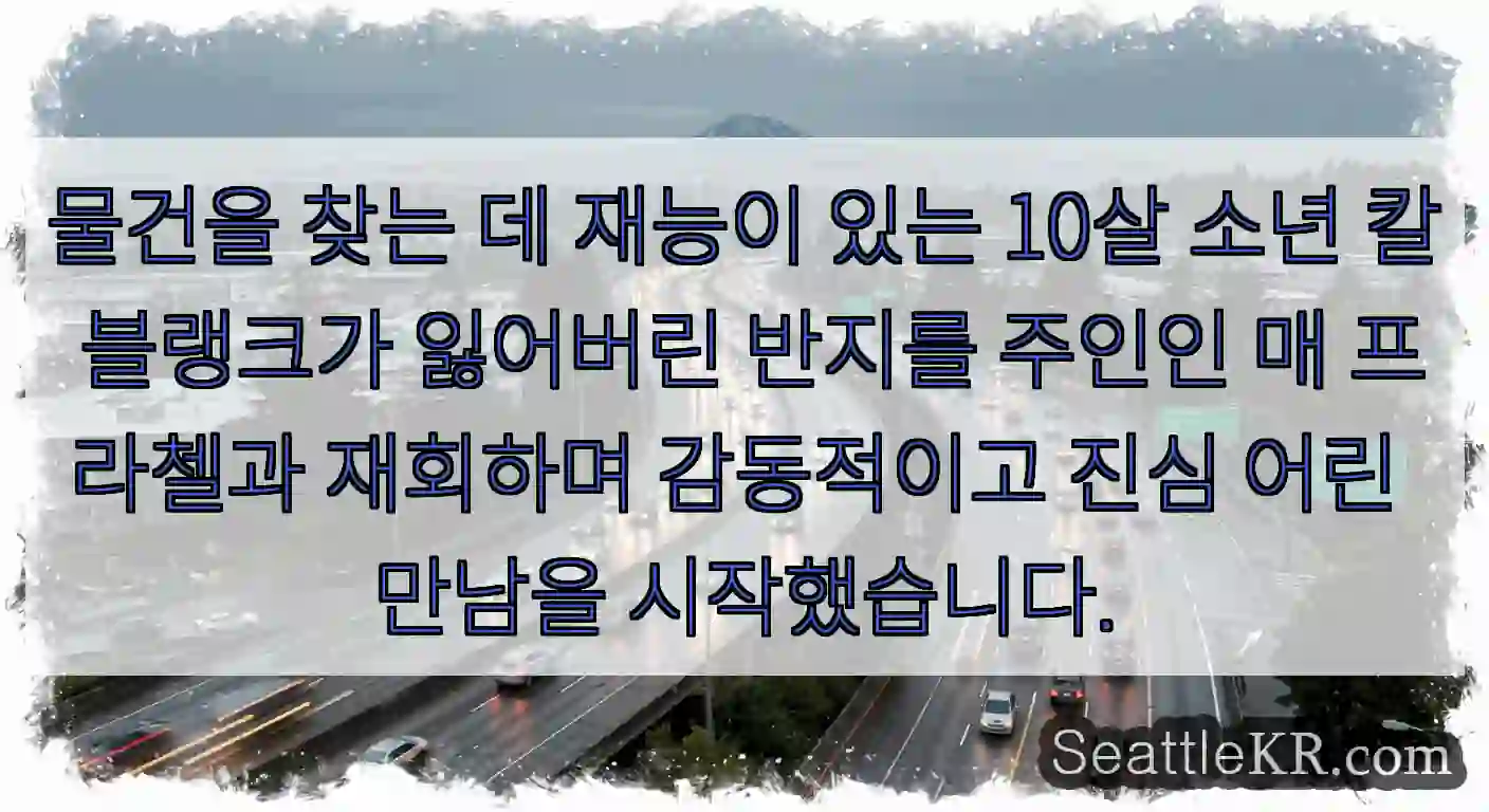 물건을 찾는 데 재능이 있는 10살 소년 칼 블랭크가 잃어버린 반지를 주인인 매 프라첼과