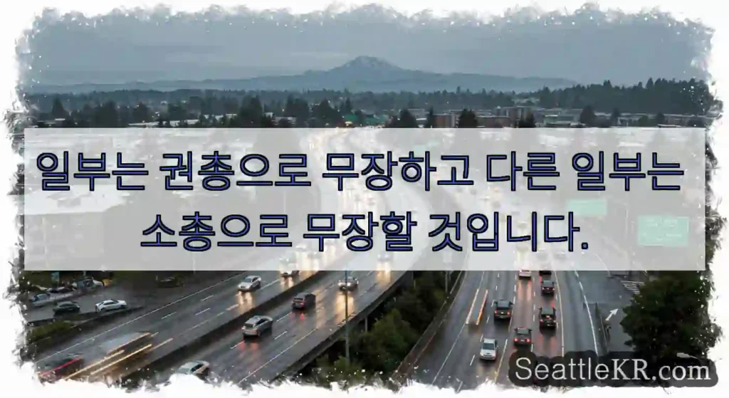 일부는 권총으로 무장하고 다른 일부는 소총으로 무장할 것입니다.