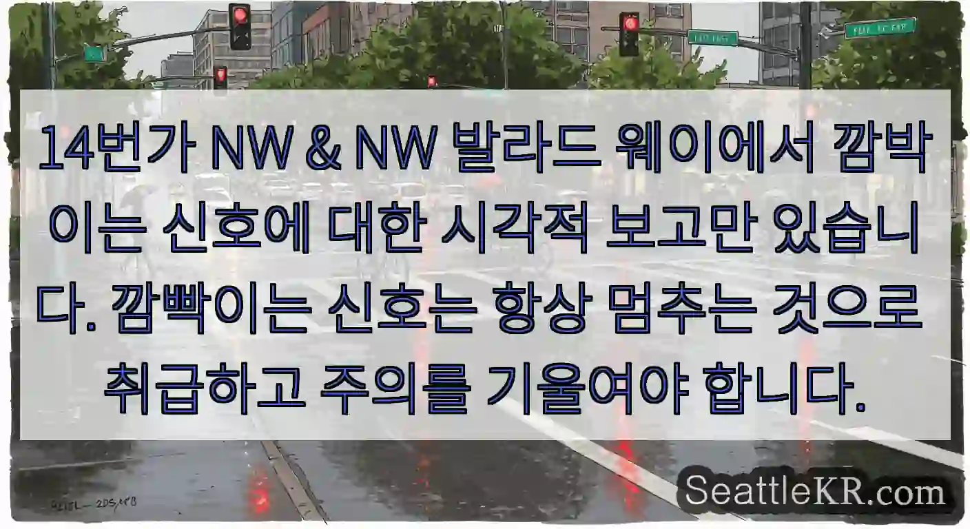 14번가 NW & NW 발라드 웨이에서 깜박이는 신호에 대한 시각적 보고만 있습니다.
