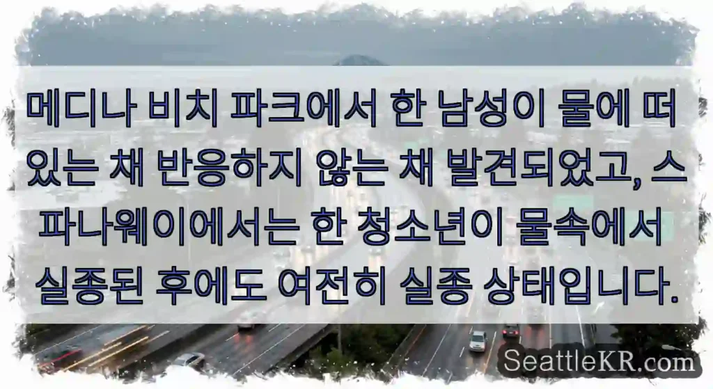 메디나 비치 파크에서 한 남성이 물에 떠 있는 채 반응하지 않는 채 발견되었고,