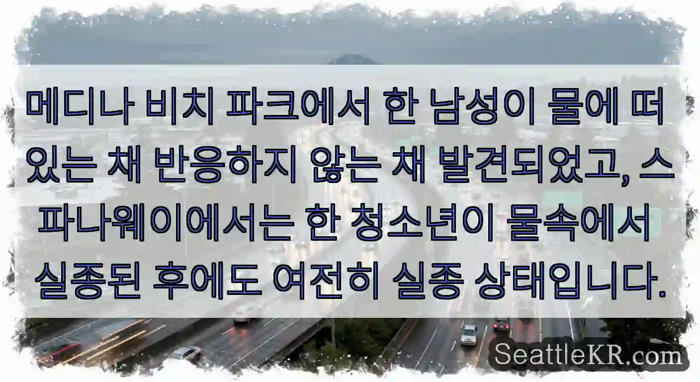 메디나 비치 파크에서 한 남성이 물에 떠 있는 채 반응하지 않는 채 발견되었고,