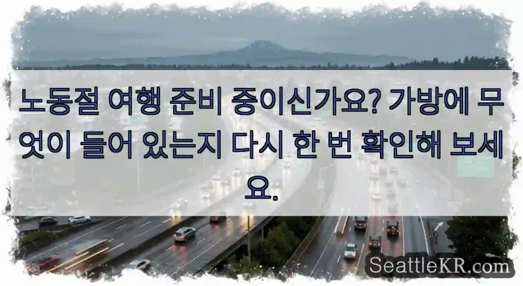 노동절 여행 준비 중이신가요? 가방에 무엇이 들어 있는지 다시 한 번 확인해 보세요.