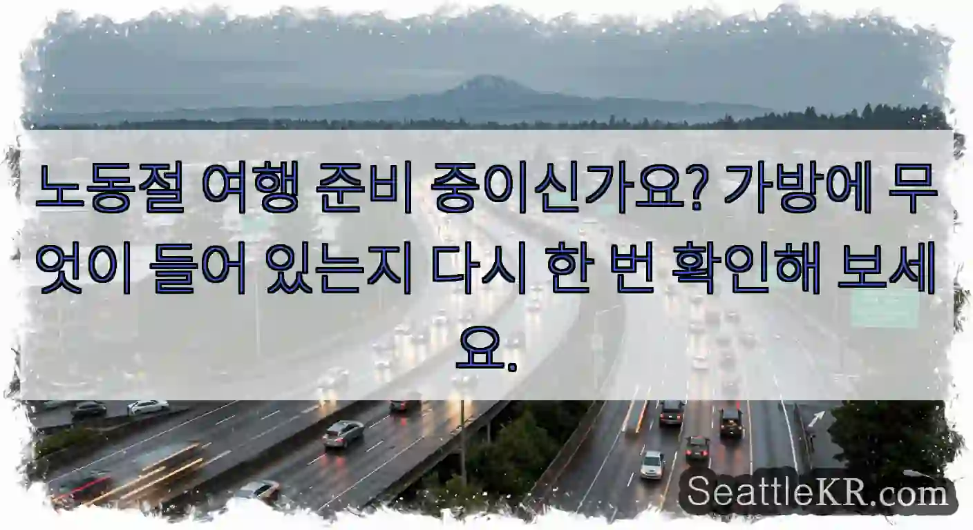 노동절 여행 준비 중이신가요? 가방에 무엇이 들어 있는지 다시 한 번 확인해 보세요.