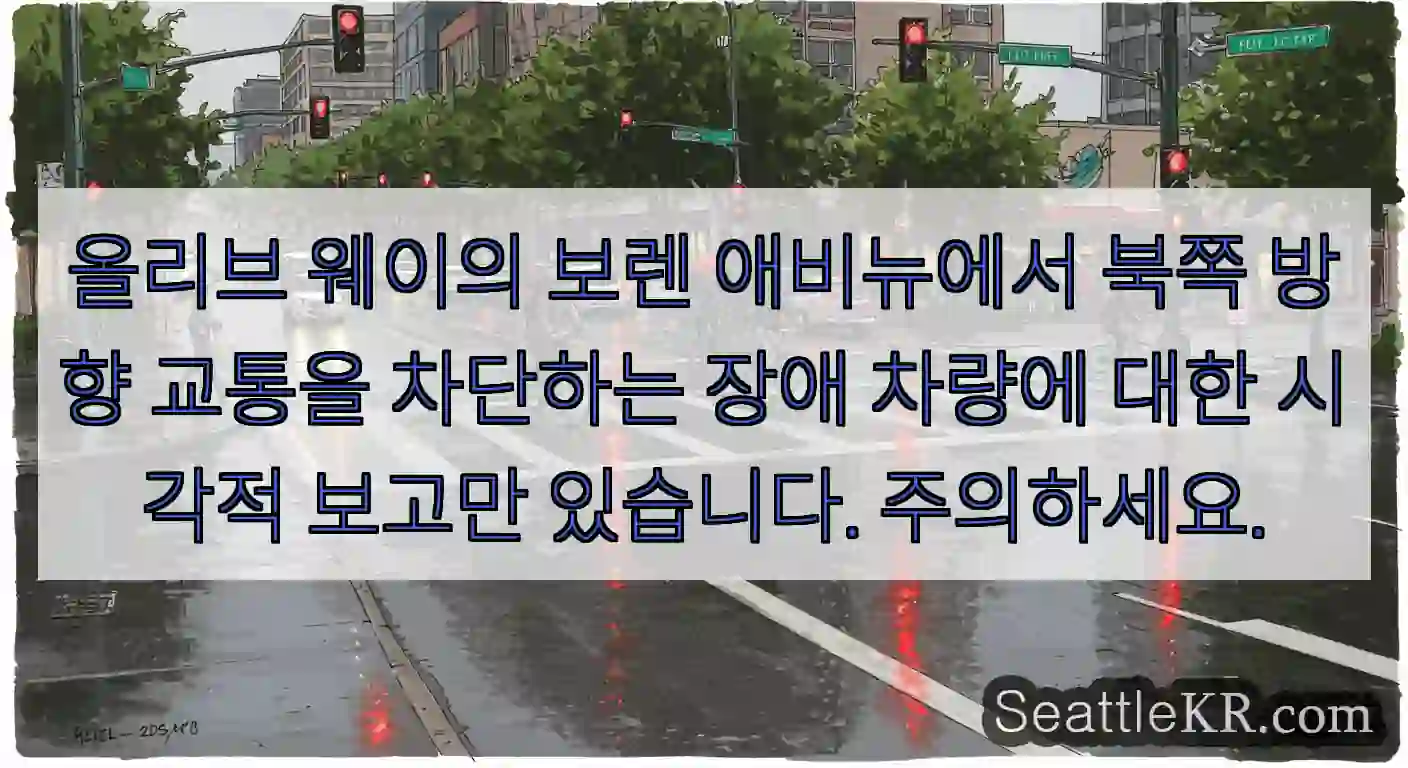 올리브 웨이의 보렌 애비뉴에서 북쪽 방향 교통을 차단하는 장애 차량에 대한 시각적 보고만