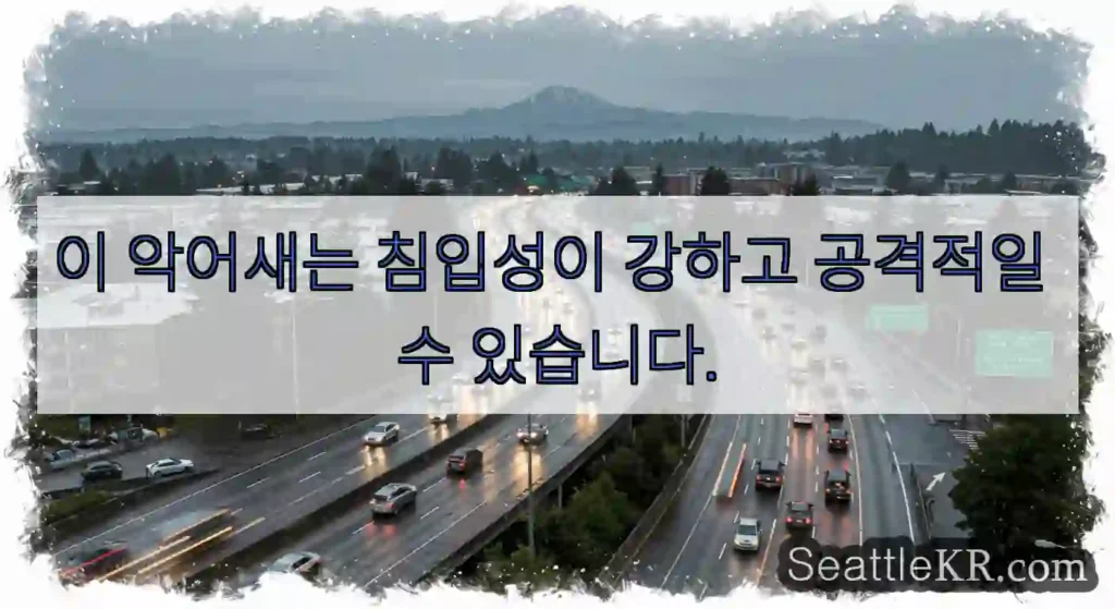 이 악어새는 침입성이 강하고 공격적일 수 있습니다.