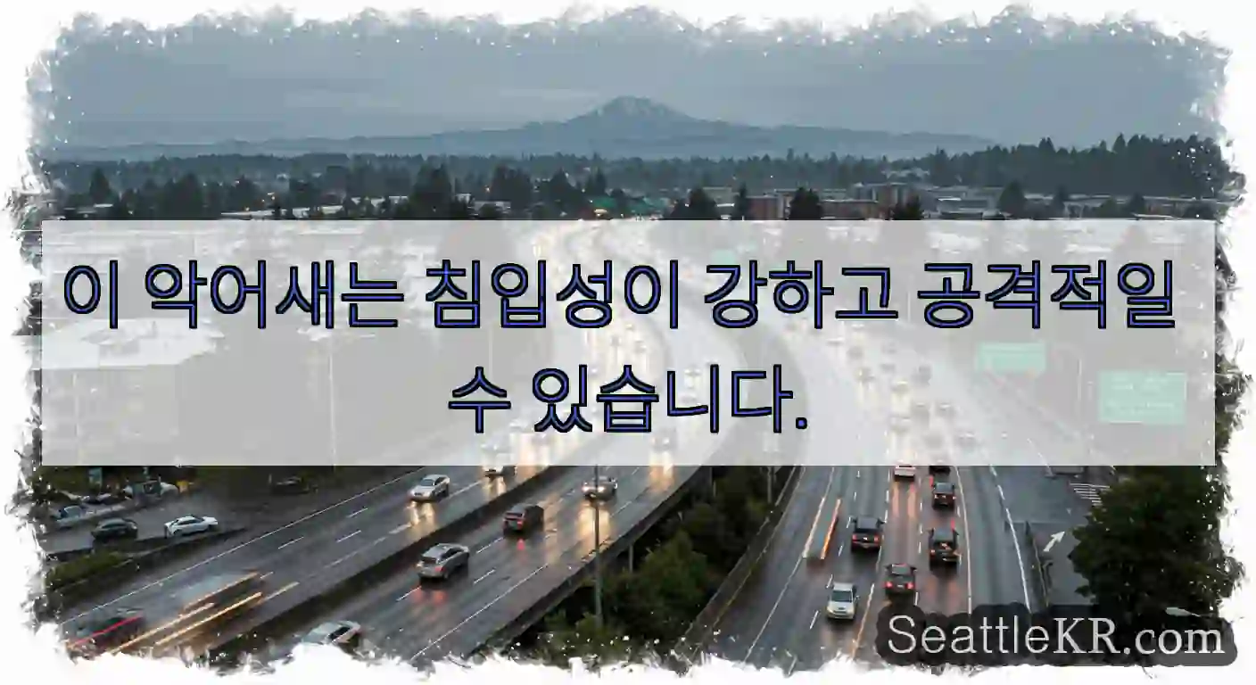 이 악어새는 침입성이 강하고 공격적일 수 있습니다.