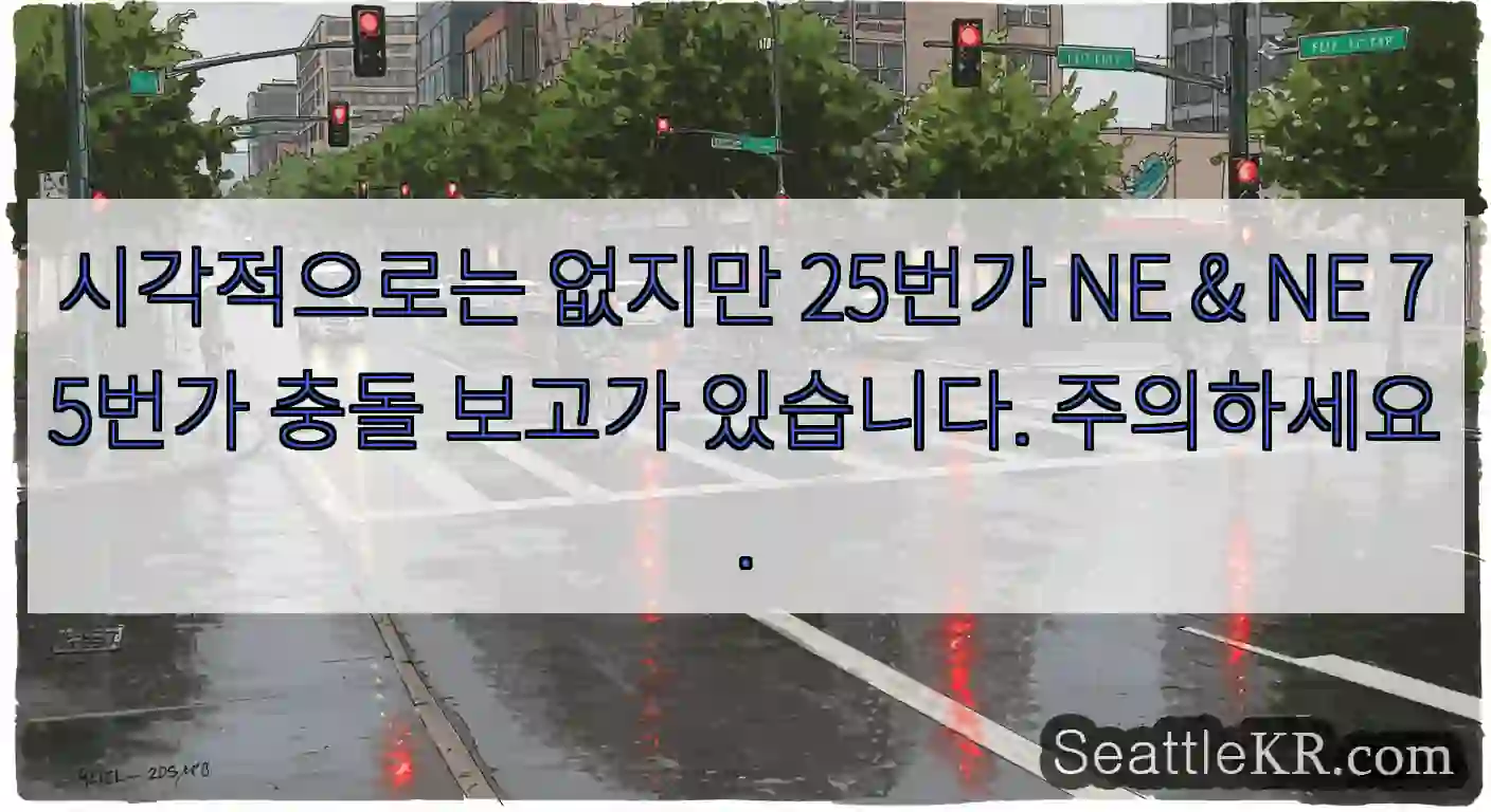 시각적으로는 없지만 25번가 NE & NE 75번가 충돌 보고가 있습니다. 주의하세요.