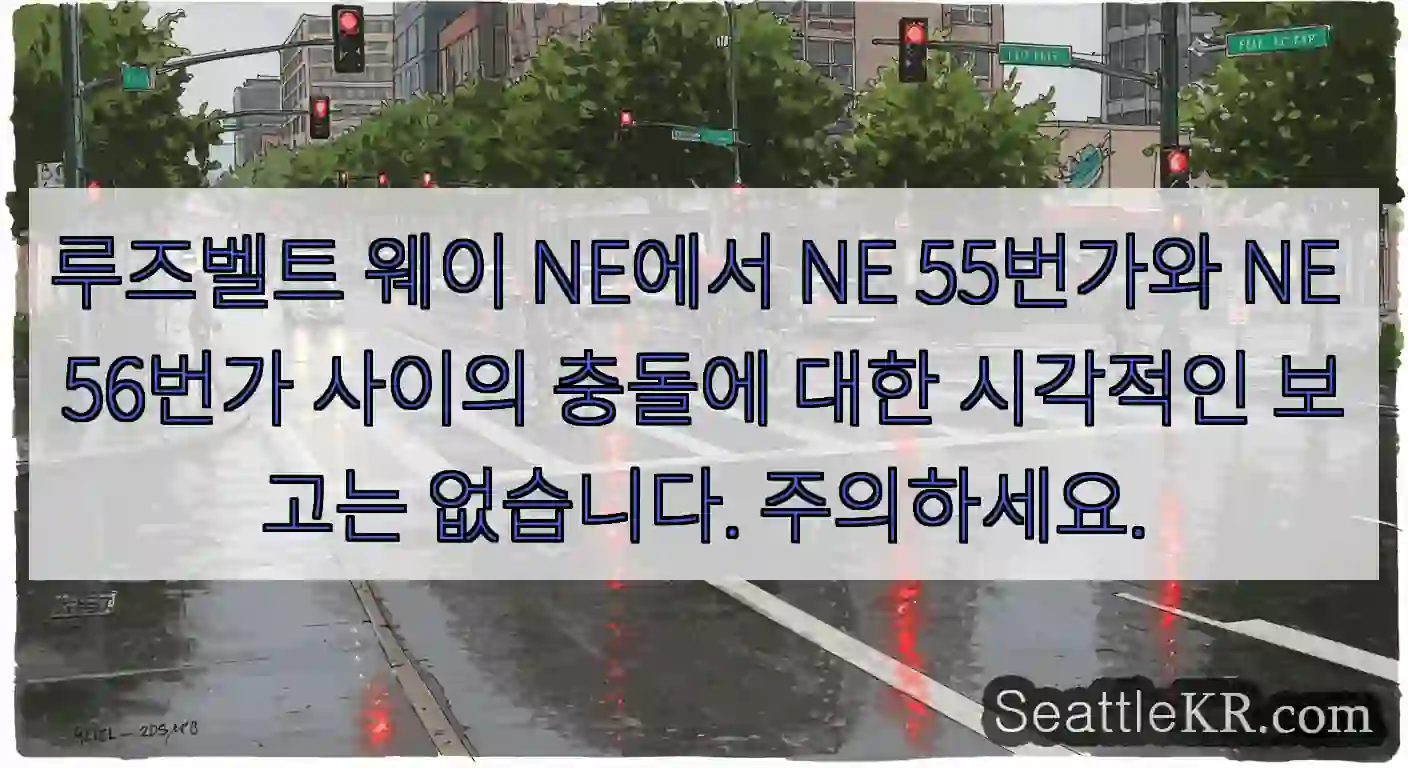 루즈벨트 웨이 NE에서 NE 55번가와 NE 56번가 사이의 충돌에 대한 시각적인 보고는
