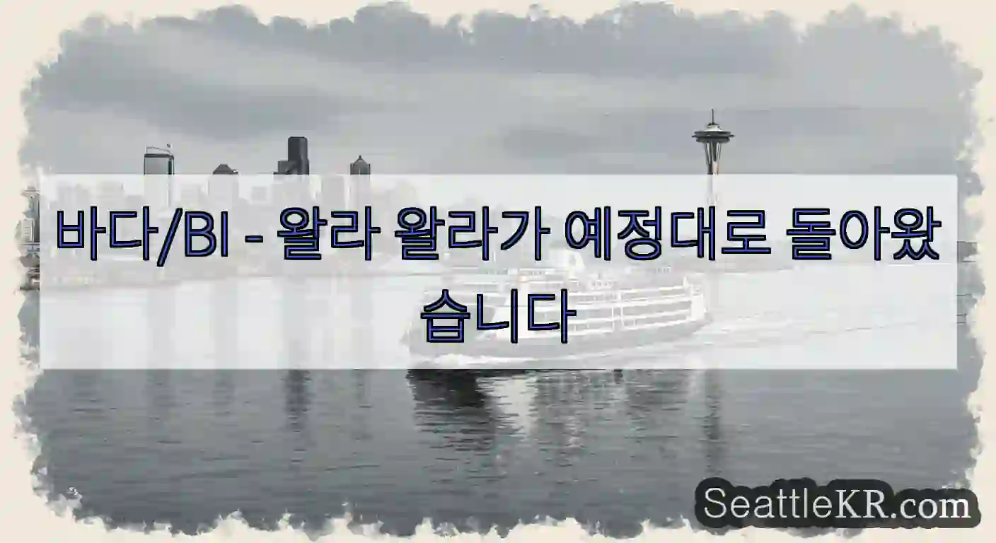 바다/BI - 왈라 왈라가 예정대로 돌아왔습니다