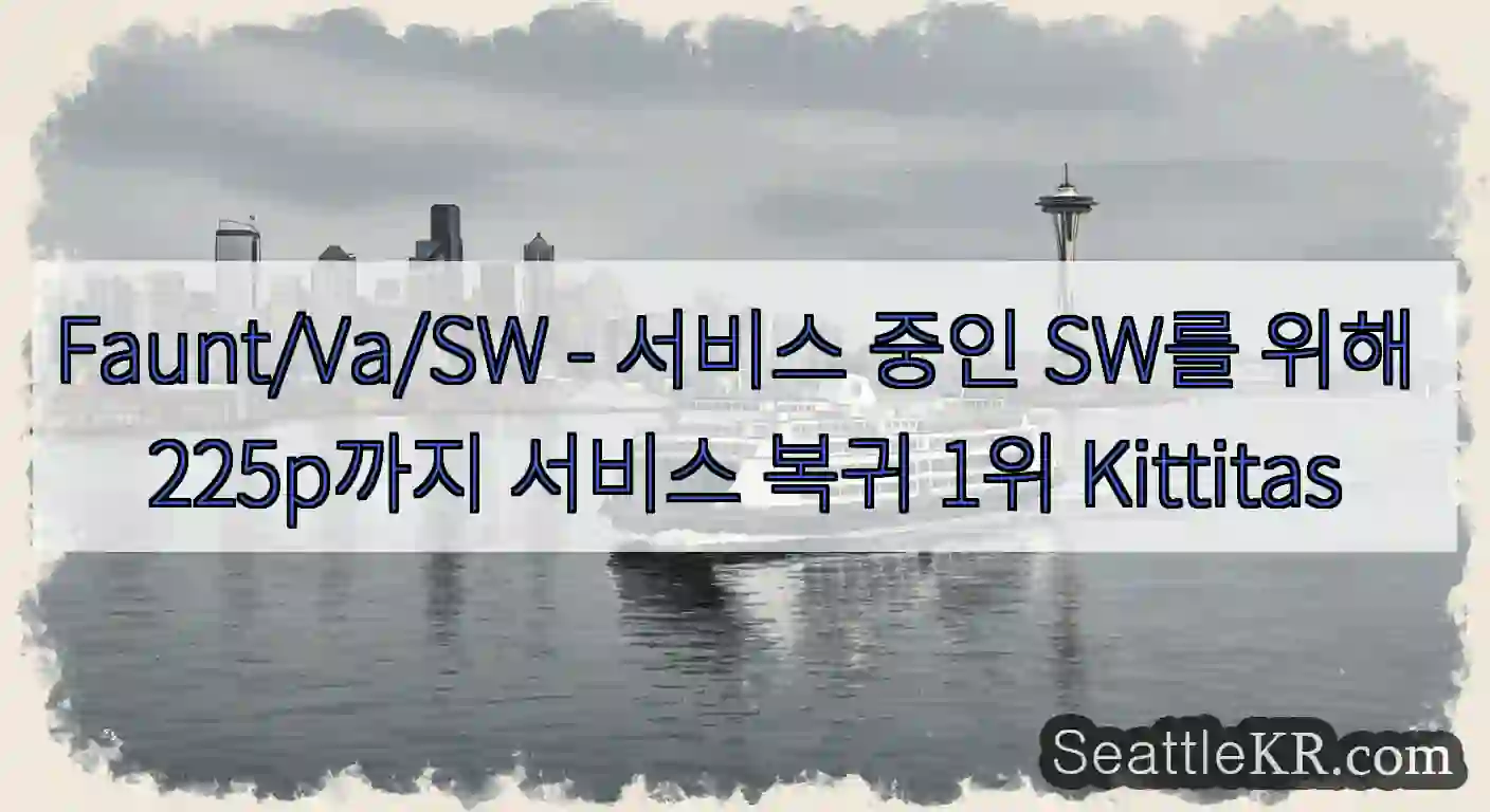Faunt/Va/SW - 서비스 중인 SW를 위해 225p까지 서비스 복귀 1위
