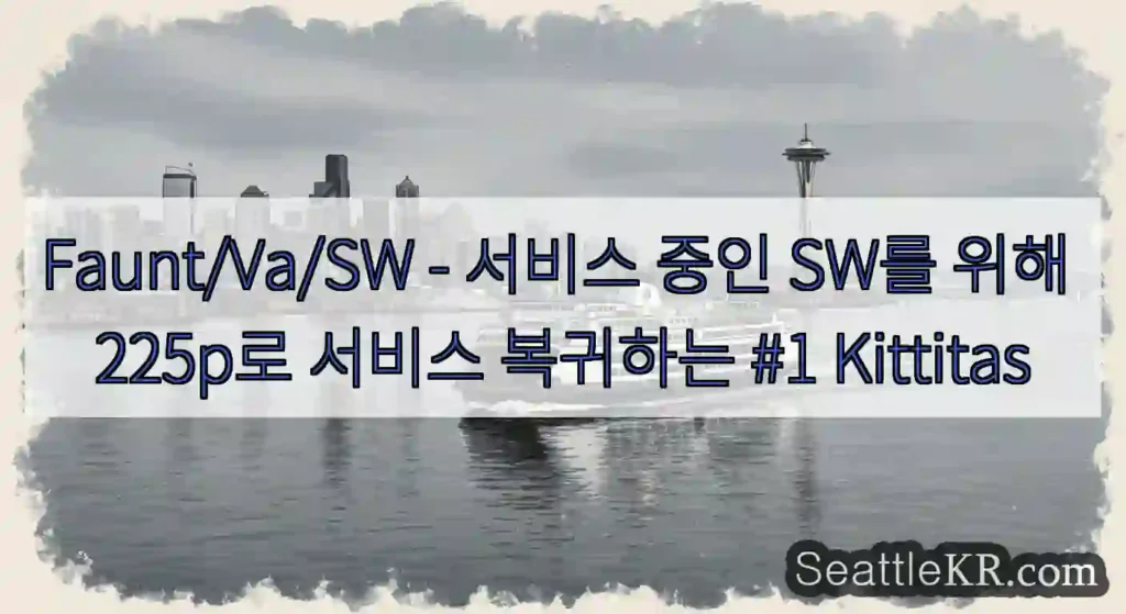 Faunt/Va/SW - 서비스 중인 SW를 위해 225p로 서비스 복귀하는 #1