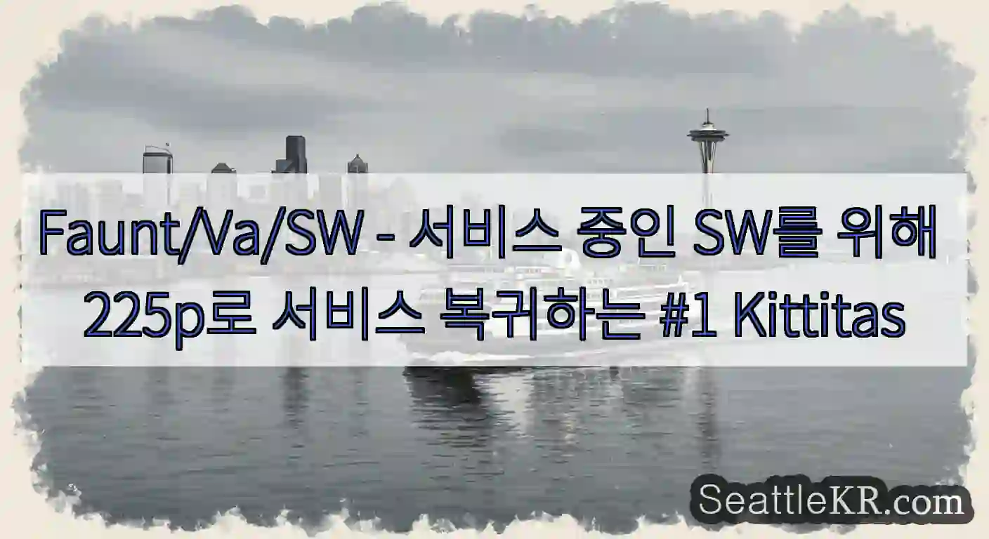 Faunt/Va/SW - 서비스 중인 SW를 위해 225p로 서비스 복귀하는 #1