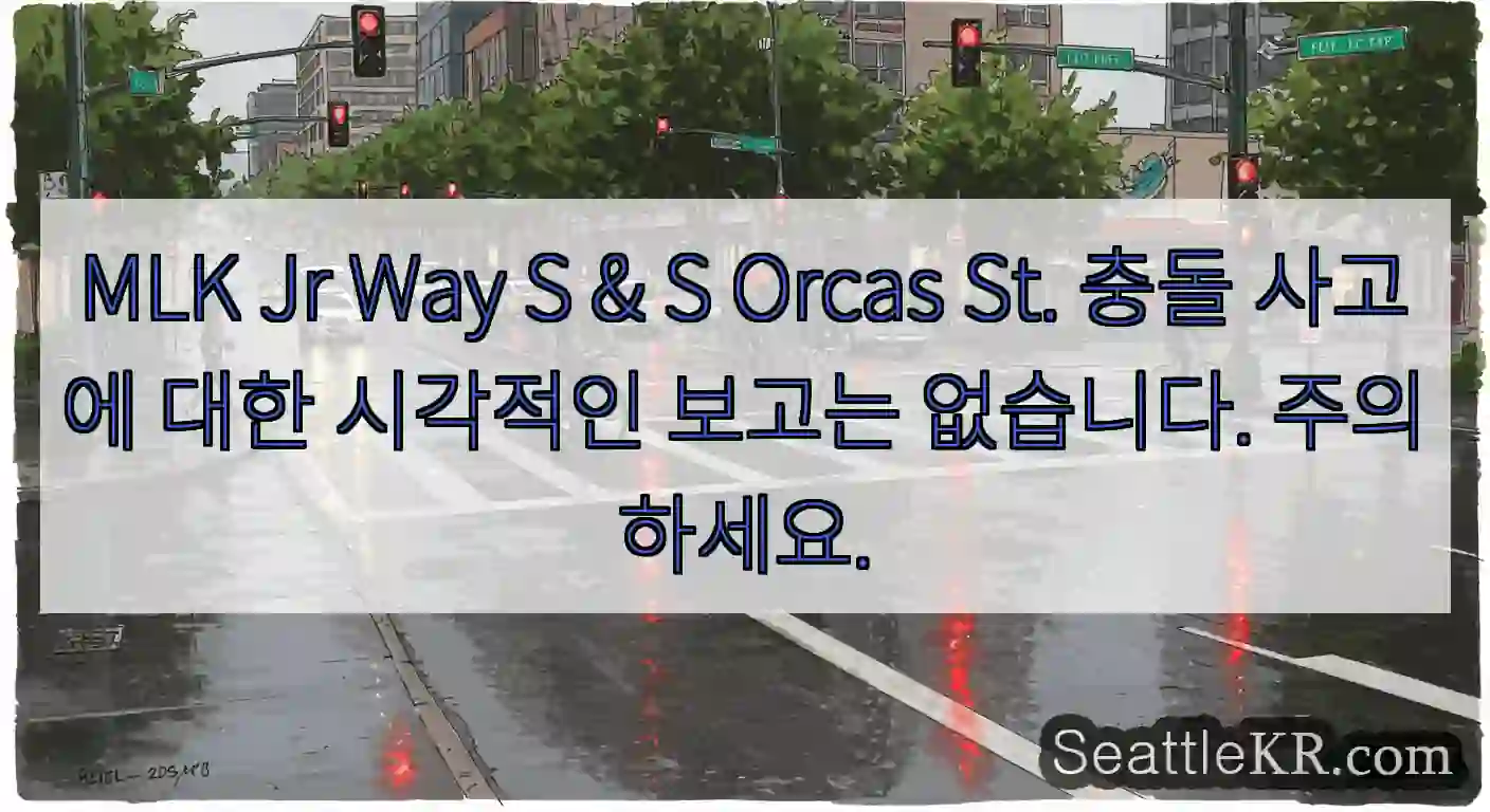 MLK Jr Way S & S Orcas St. 충돌 사고에 대한 시각적인 보고는