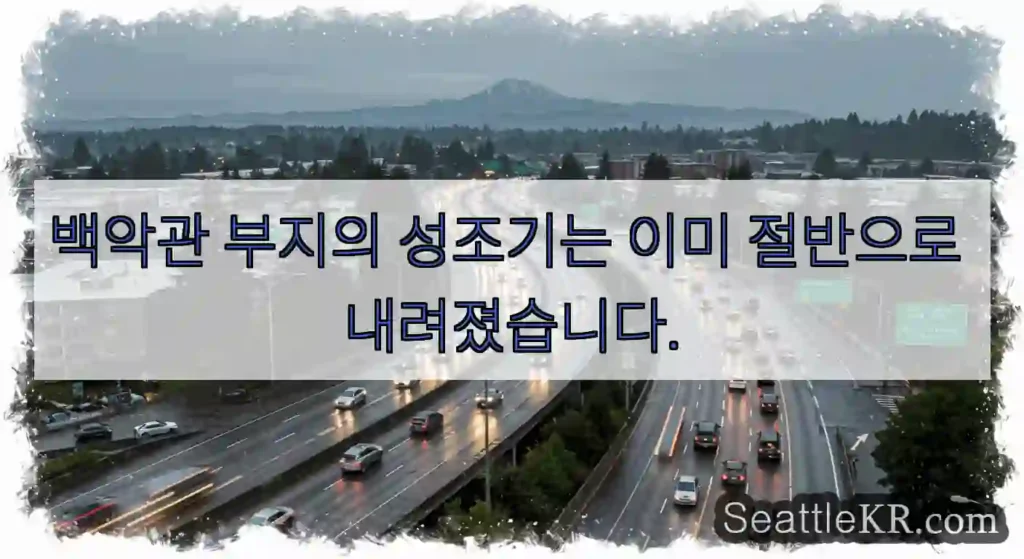 백악관 부지의 성조기는 이미 절반으로 내려졌습니다.