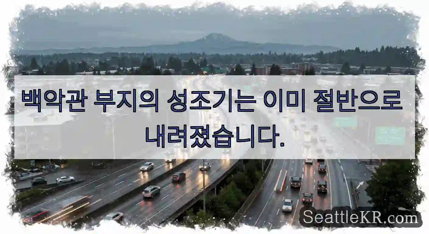 백악관 부지의 성조기는 이미 절반으로 내려졌습니다.