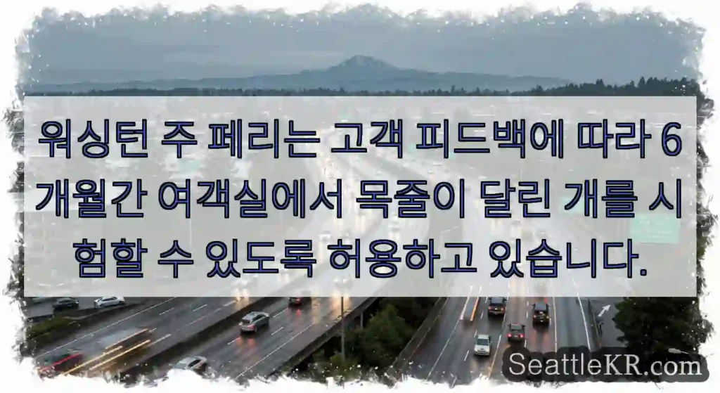 워싱턴 주 페리는 고객 피드백에 따라 6개월간 여객실에서 목줄이 달린 개를 시험할 수