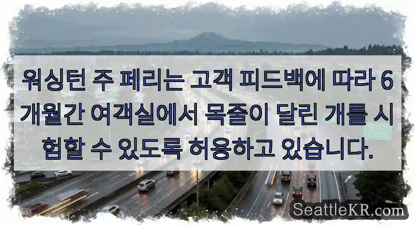 워싱턴 주 페리는 고객 피드백에 따라 6개월간 여객실에서 목줄이 달린 개를 시험할 수
