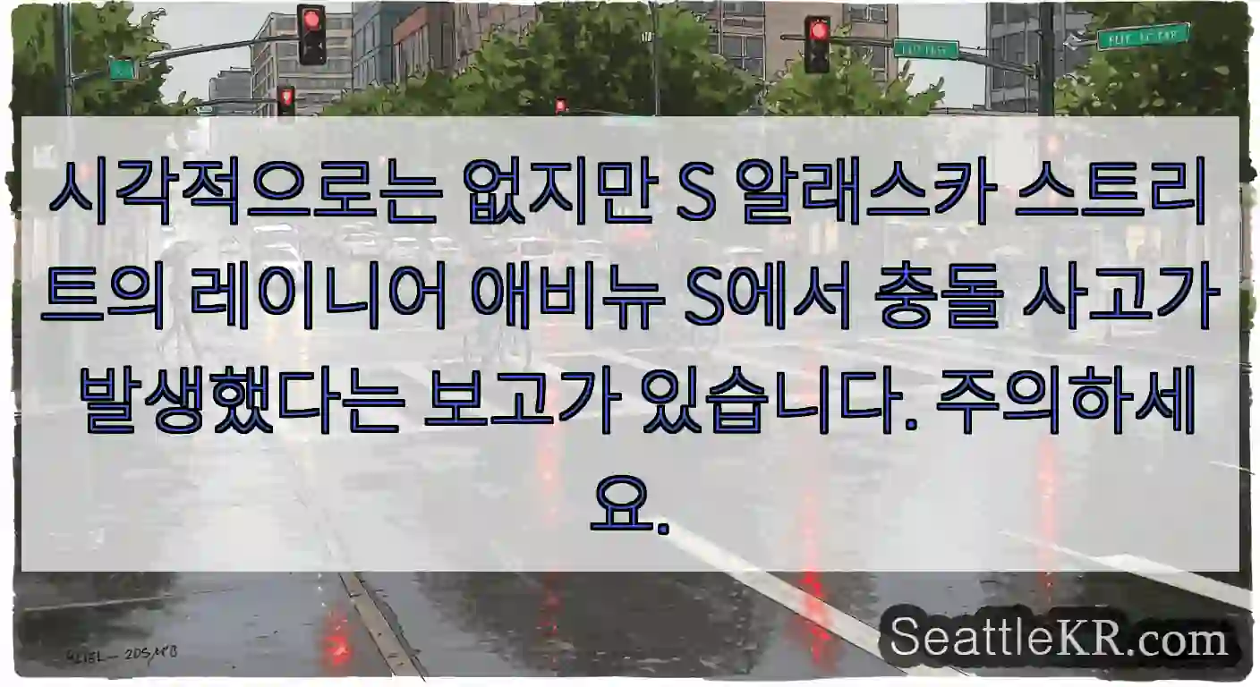시각적으로는 없지만 S 알래스카 스트리트의 레이니어 애비뉴 S에서 충돌 사고가 발생했다는