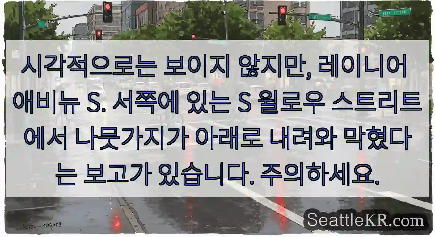 시각적으로는 보이지 않지만, 레이니어 애비뉴 S. 서쪽에 있는 S 윌로우 스트리트에서
