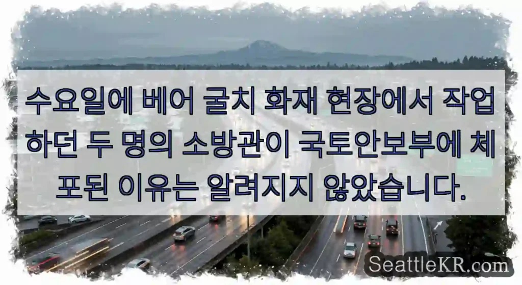 수요일에 베어 굴치 화재 현장에서 작업하던 두 명의 소방관이 국토안보부에 체포된 이유는