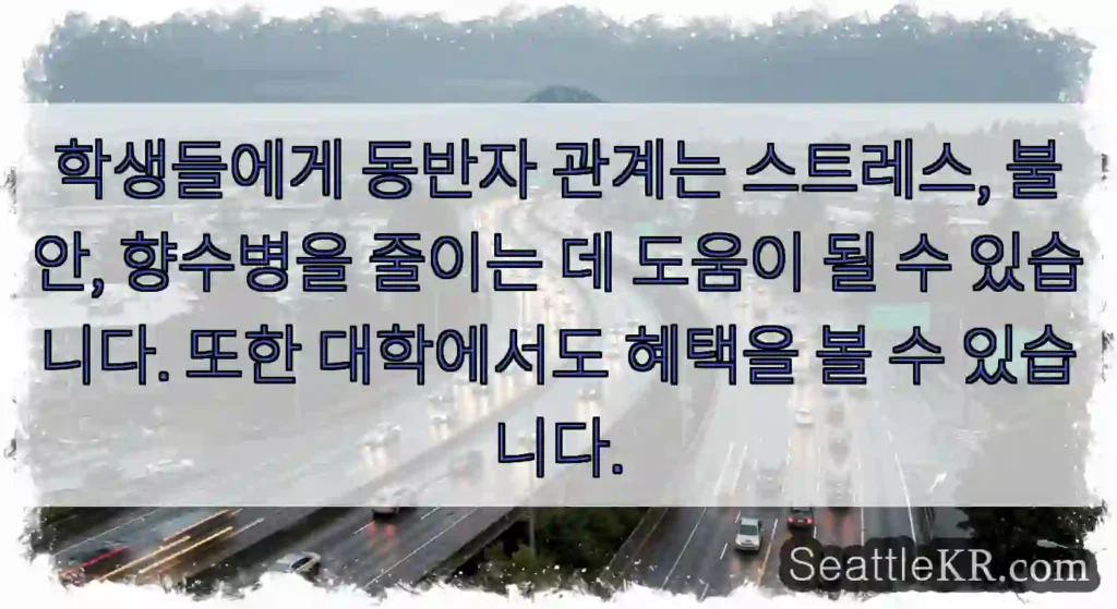 학생들에게 동반자 관계는 스트레스, 불안, 향수병을 줄이는 데 도움이 될 수 있습니다.