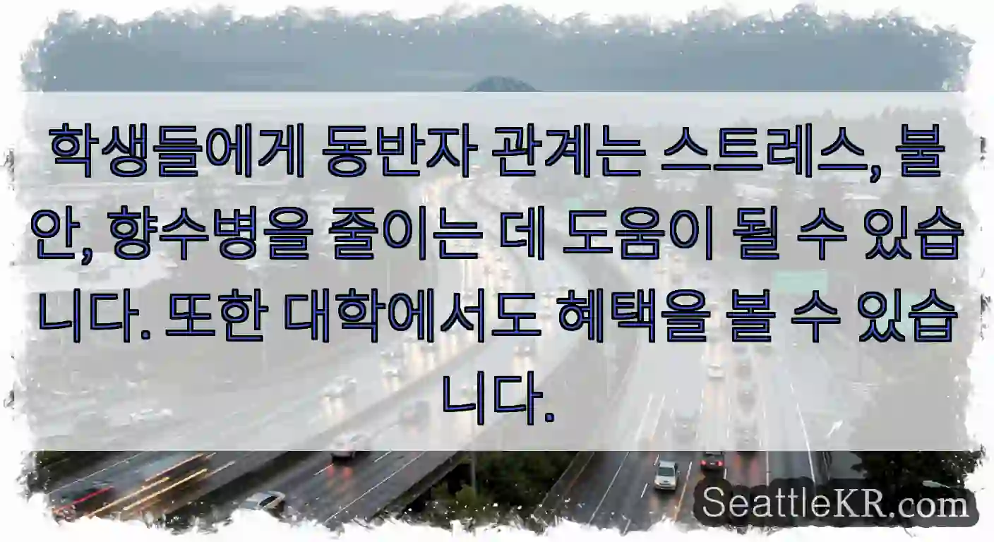 학생들에게 동반자 관계는 스트레스, 불안, 향수병을 줄이는 데 도움이 될 수 있습니다.